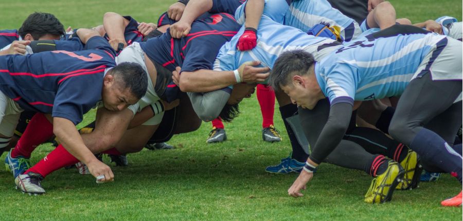 Image par jacqueline macou de Pixabay