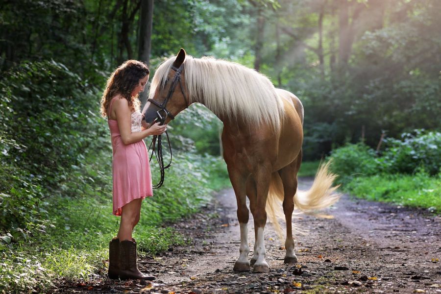 Photo de Jennifer Murray: https://www.pexels.com/fr-fr/photo/femme-vetue-d-une-robe-rose-debout-a-cote-de-cheval-brun-1090408/